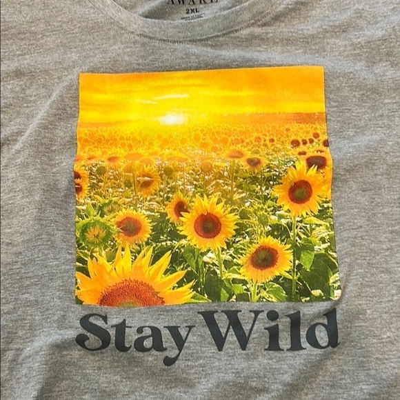 Awake Gray Graphic T-Shirt with Crew Neck and Short Sleeves - Picture 3 of 5